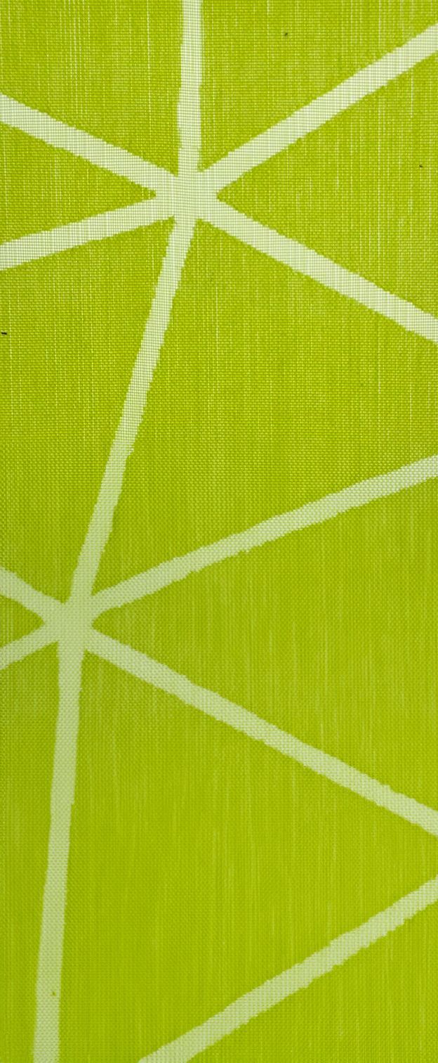 R11058-06