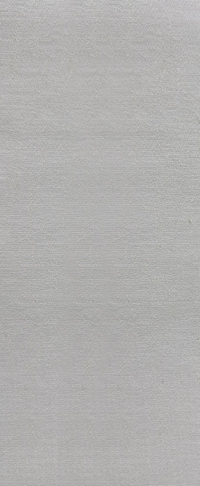 002 Ivory
