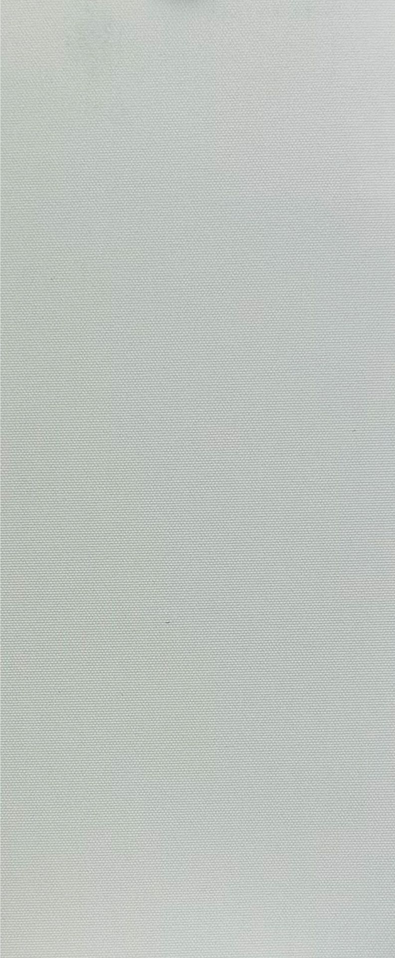 007