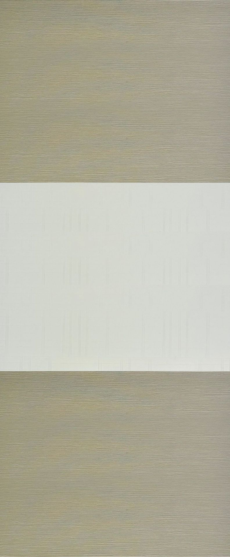 SN-C45